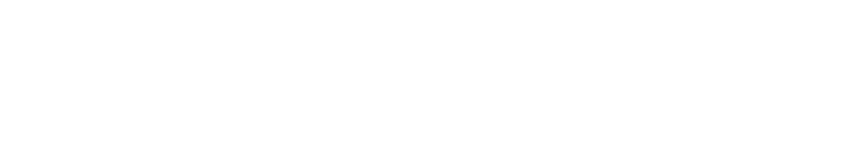 Emirates Health Services
